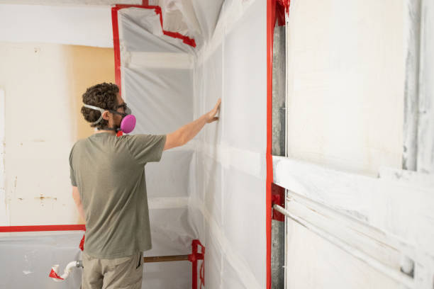 Best Attic Mold Removal  in Mount Dora, FL