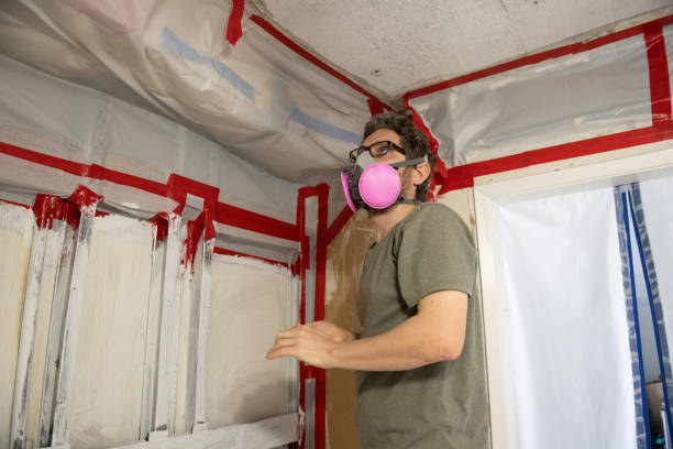 Best Black Mold Removal  in Mount Dora, FL