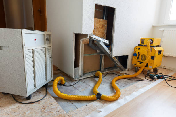 Dehumidification Services in Mount Dora, FL